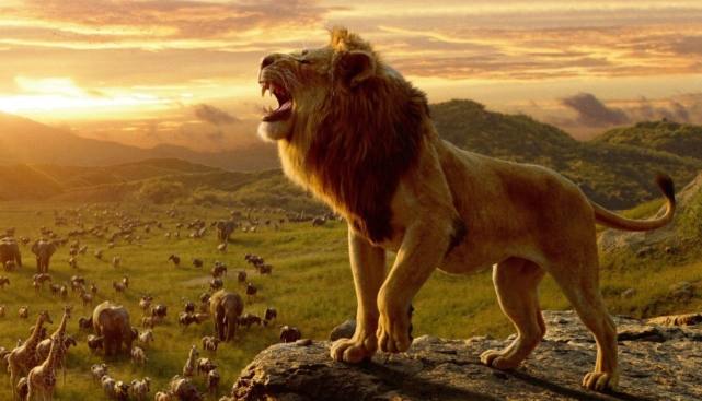 شیر شاه پرفروش‌ترین انیمیشن تاریخ سینما شد